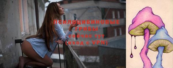 apvp Арсеньев