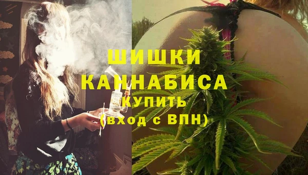 apvp Арсеньев
