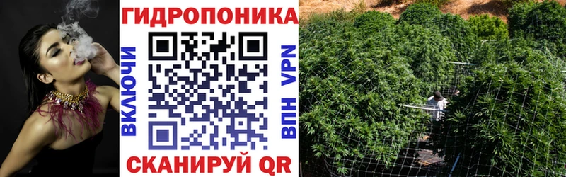 Канабис сатива  Нижняя Салда 